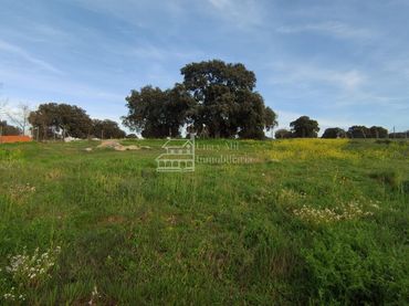 Terrenos y solares en venta en Calvarrasa de Arriba