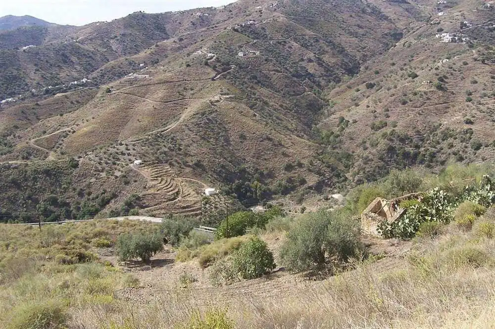 Terreny rústic en venda a Sayalonga, imagen 5