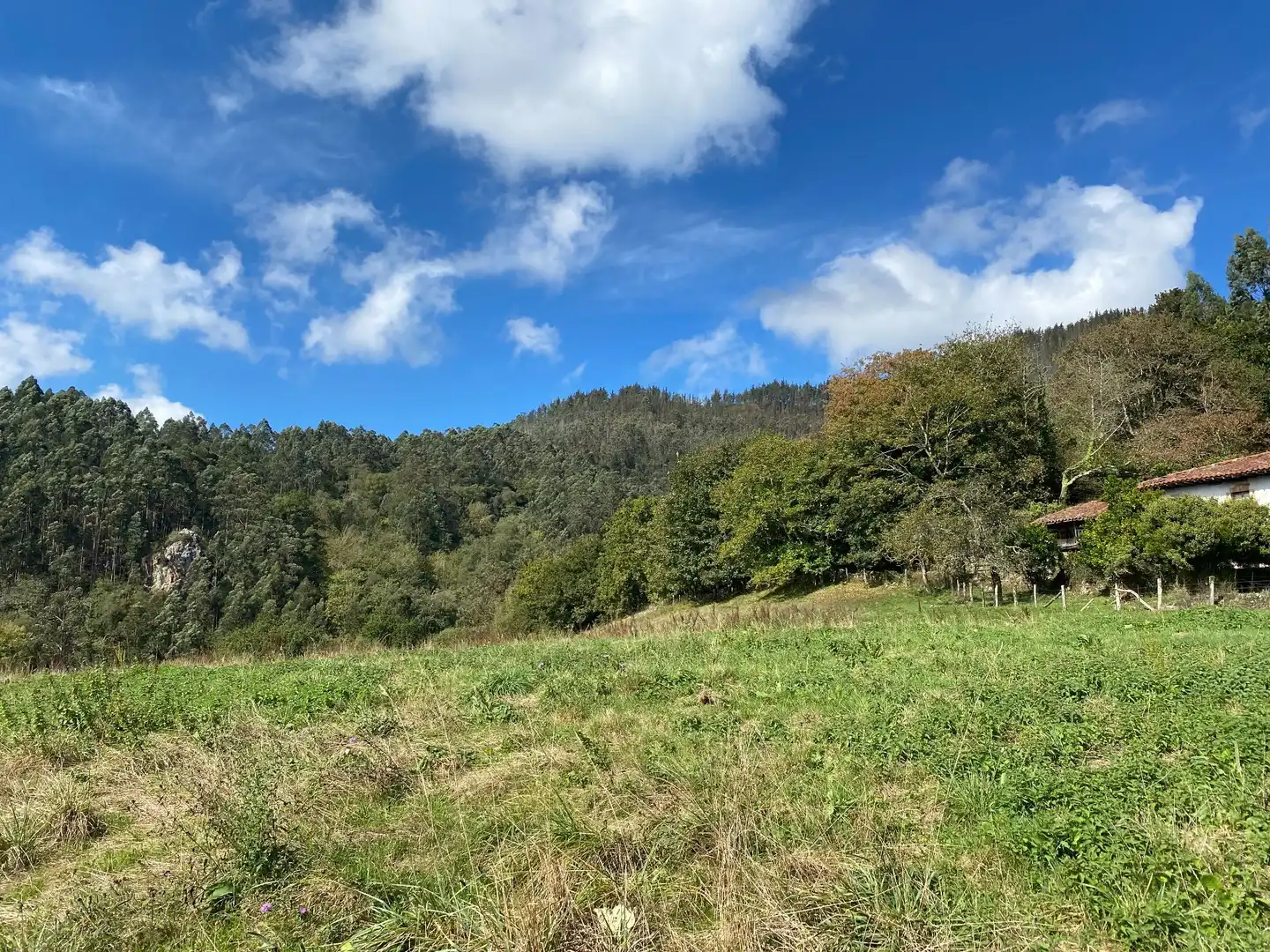 Maison avec jardin à vendre à Tresmonte, imagen 81