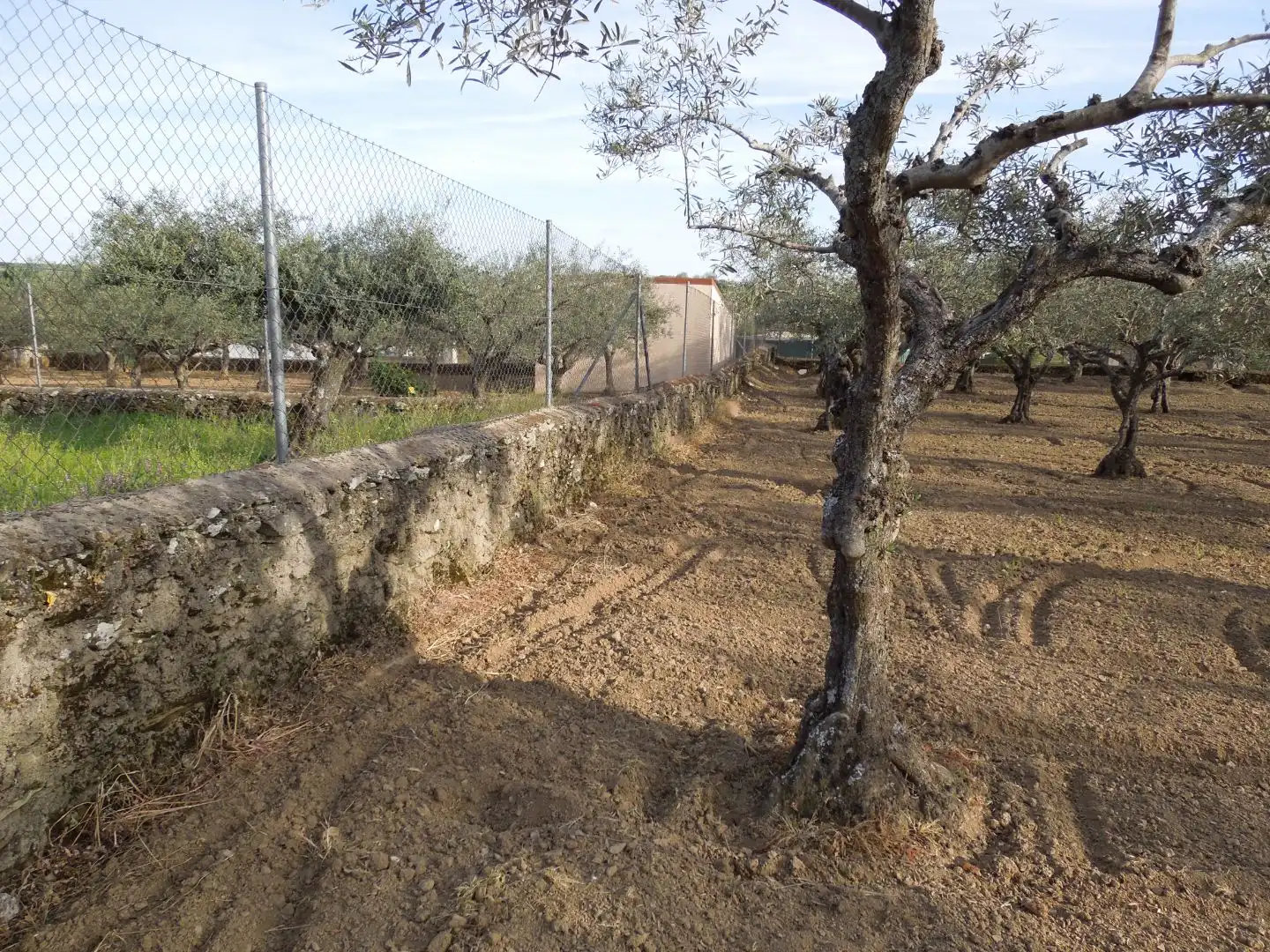 Terreno en venta en Malpartida de Plasencia