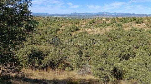 FINCA RÚSTICA CON ALTO VALOR CINEGÉTICO Y PAISAJÍSTICO, immagine 3