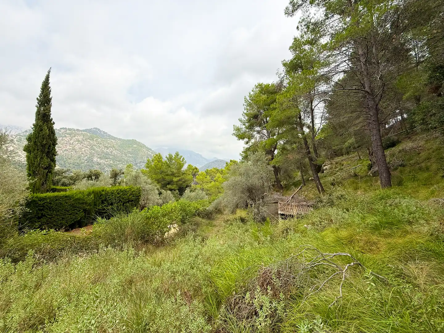Maison rustique avec jardin à vendre à Bunyola, imagen 51