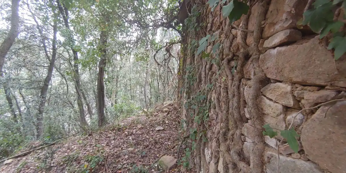 Residencial en venda en Susqueda
