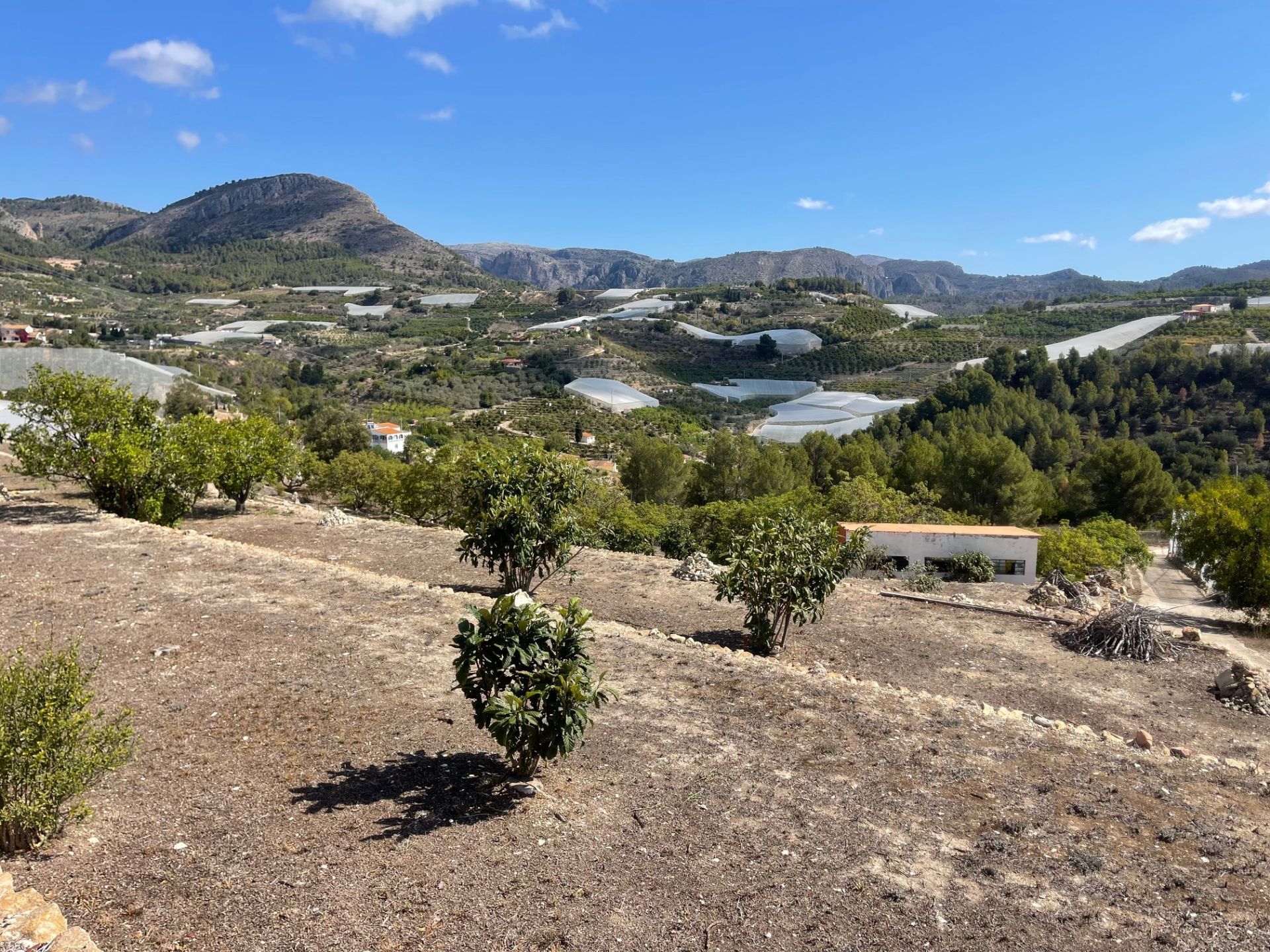 Exterior view of Residential for sale in Callosa d'En Sarrià