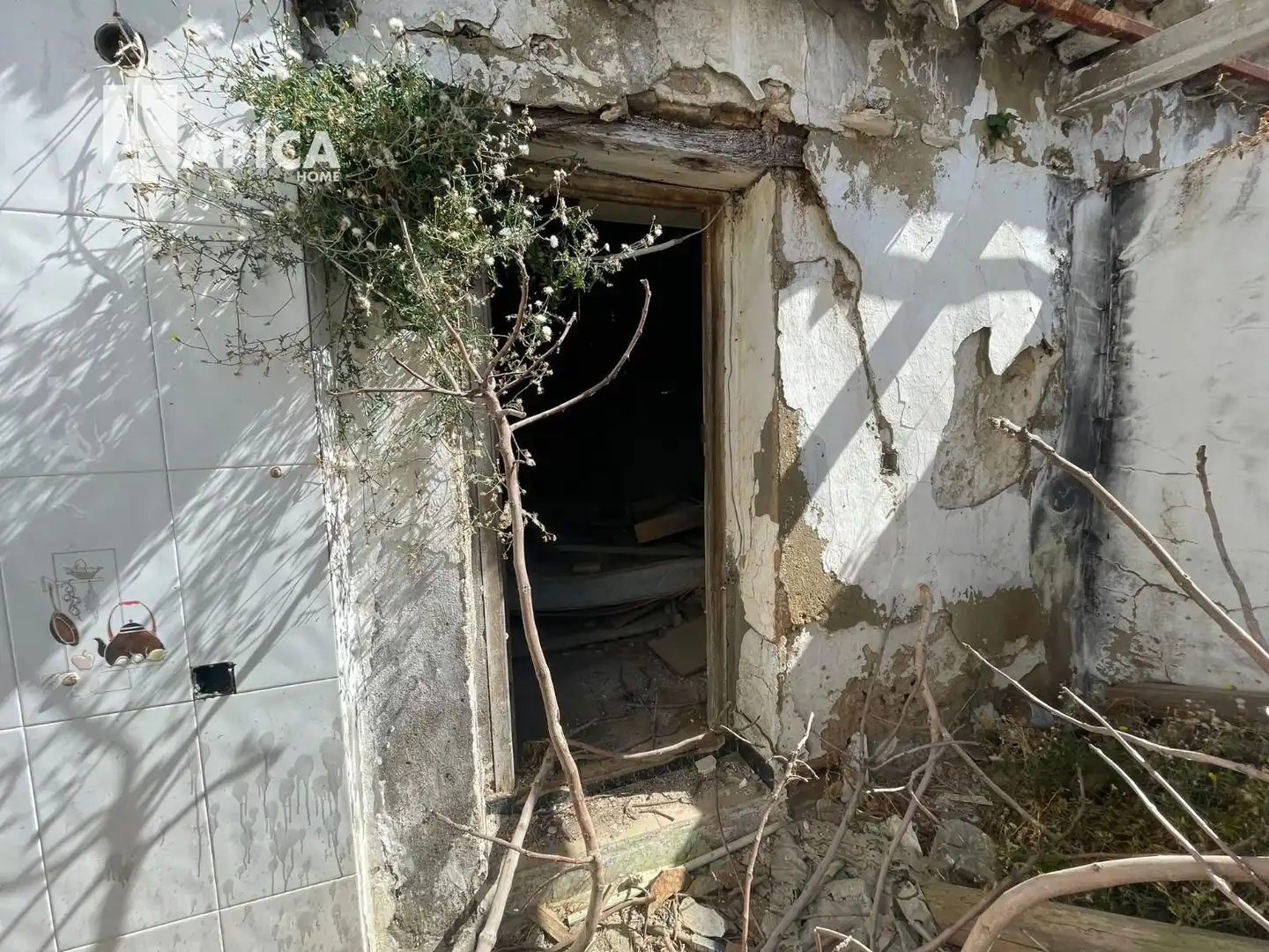 Houses for sale in Conil