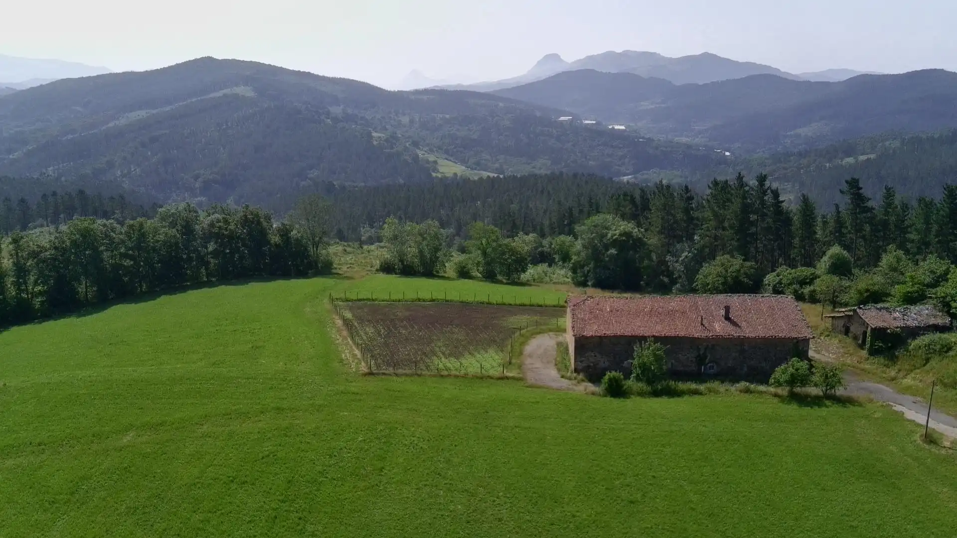 Houses for sale in Lezama