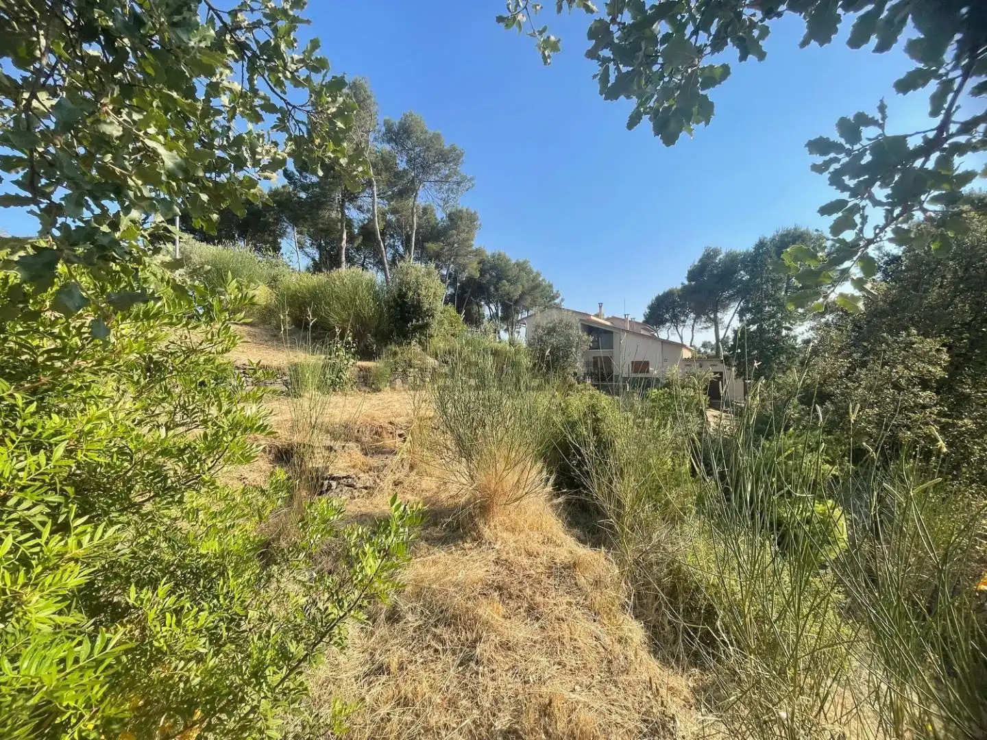 Residential land for sale in dels Avets 36, imagen 19