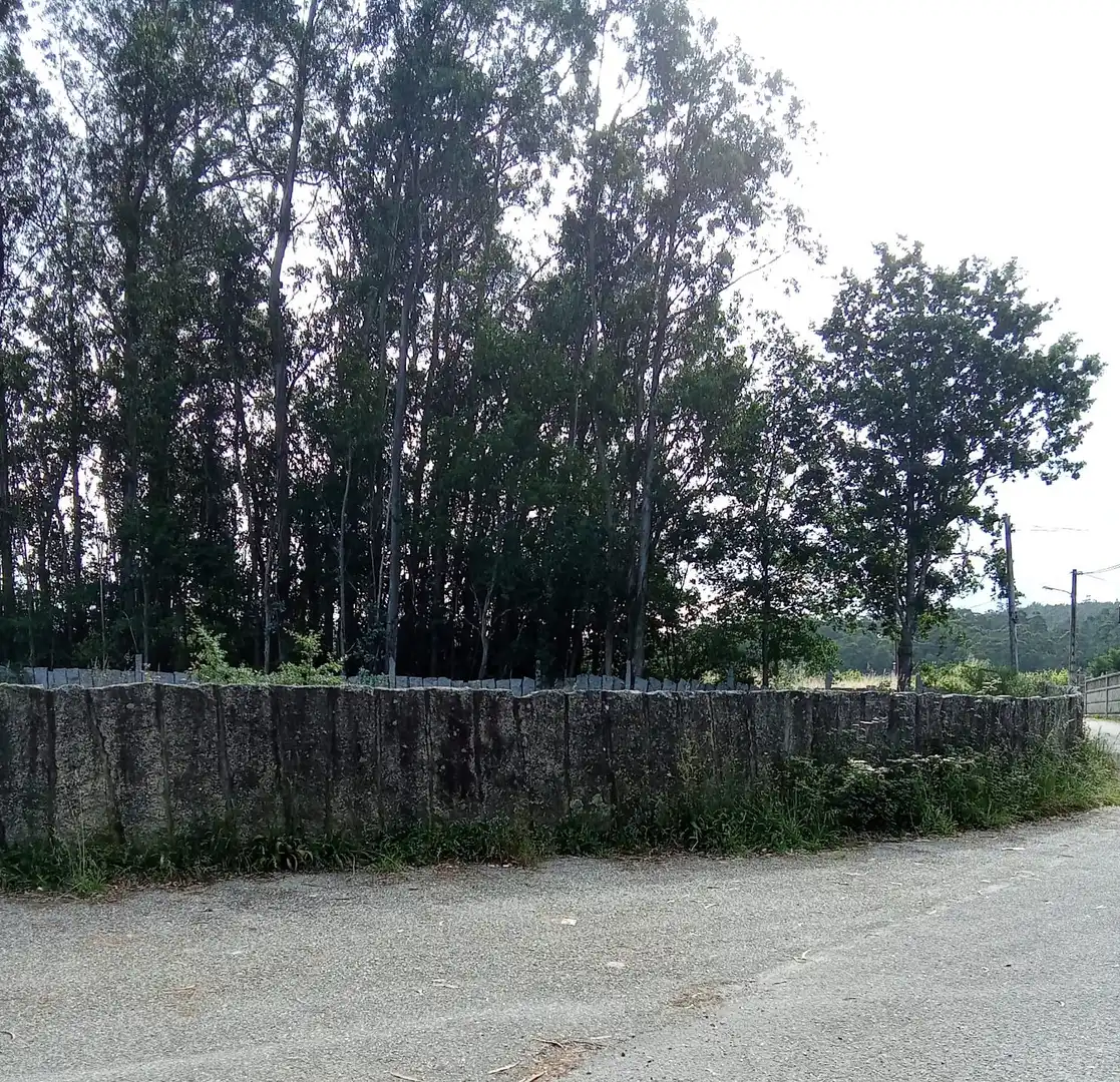 Residential for sale in Tui