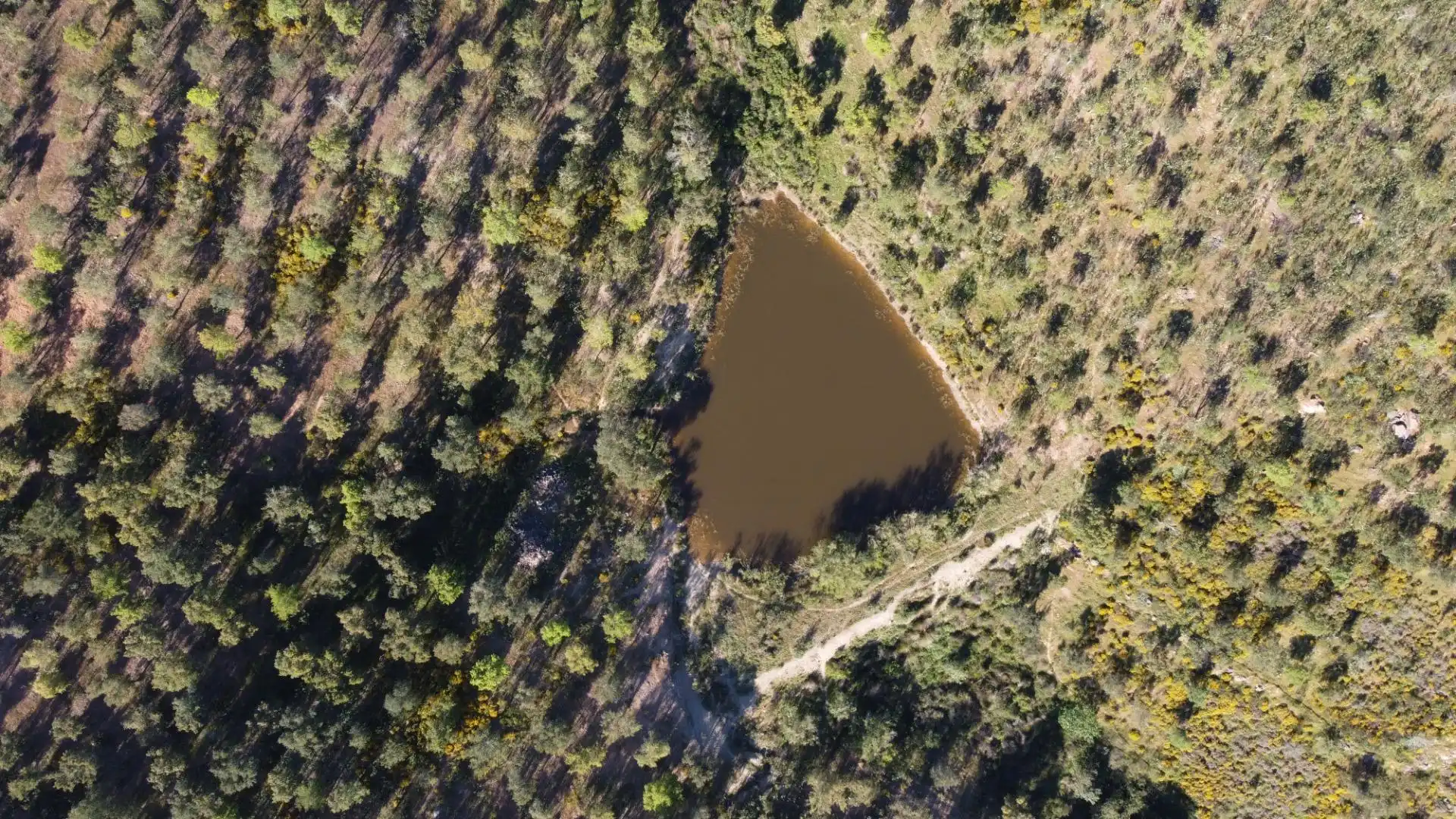Finca rústica en venda en Puebla de Guzmán amb Jardí privat i Moblat