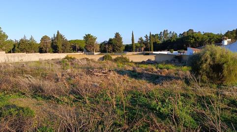 Foto 4 de Casa o xalet en venda a Camino Camino de la Cepa, Las Lagunas - Campano, Cádiz