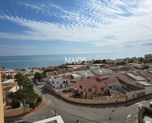 Vista exterior de Pis de lloguer en Torrevieja amb Aire condicionat, Calefacció i Moblat