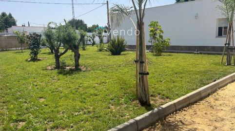 Photo 4 of House or chalet for sale in Barrio Nuevo, Conil de la Frontera