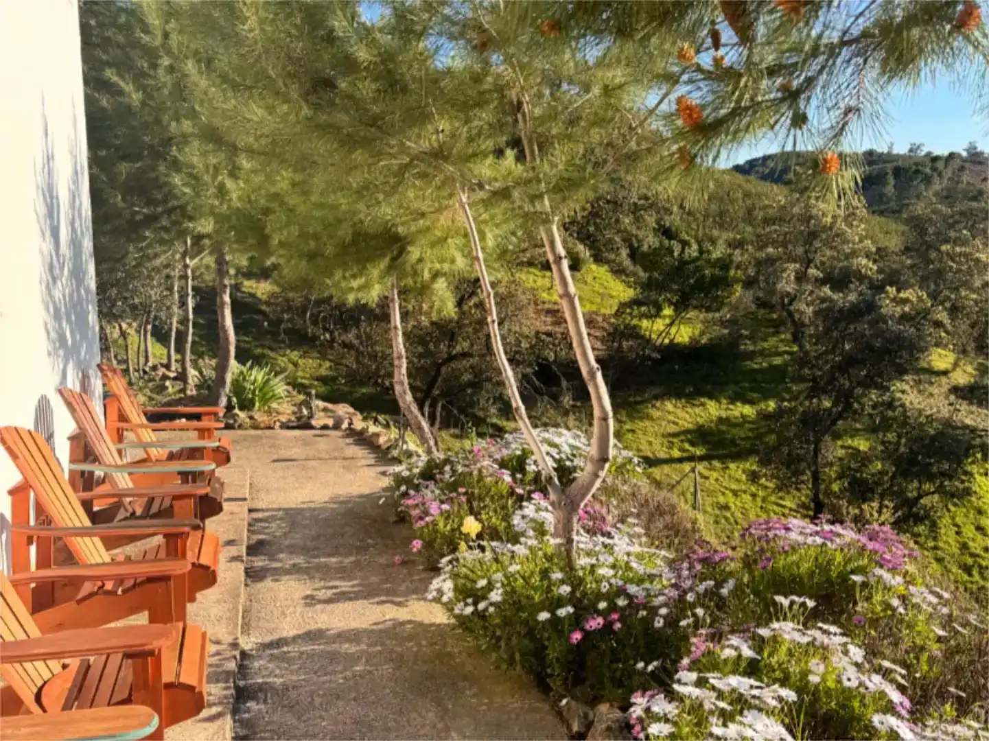 Terraza de Finca rústica en venta en El Madroño con Aire acondicionado, Jardín privado y Parquet