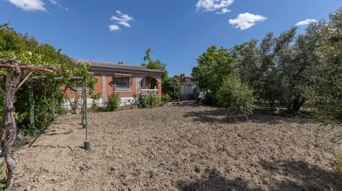 Foto 3 de Finca rústica en venta en Polígono 7 Paraje 147 la Quinta, Ayuntamiento, Alhendín