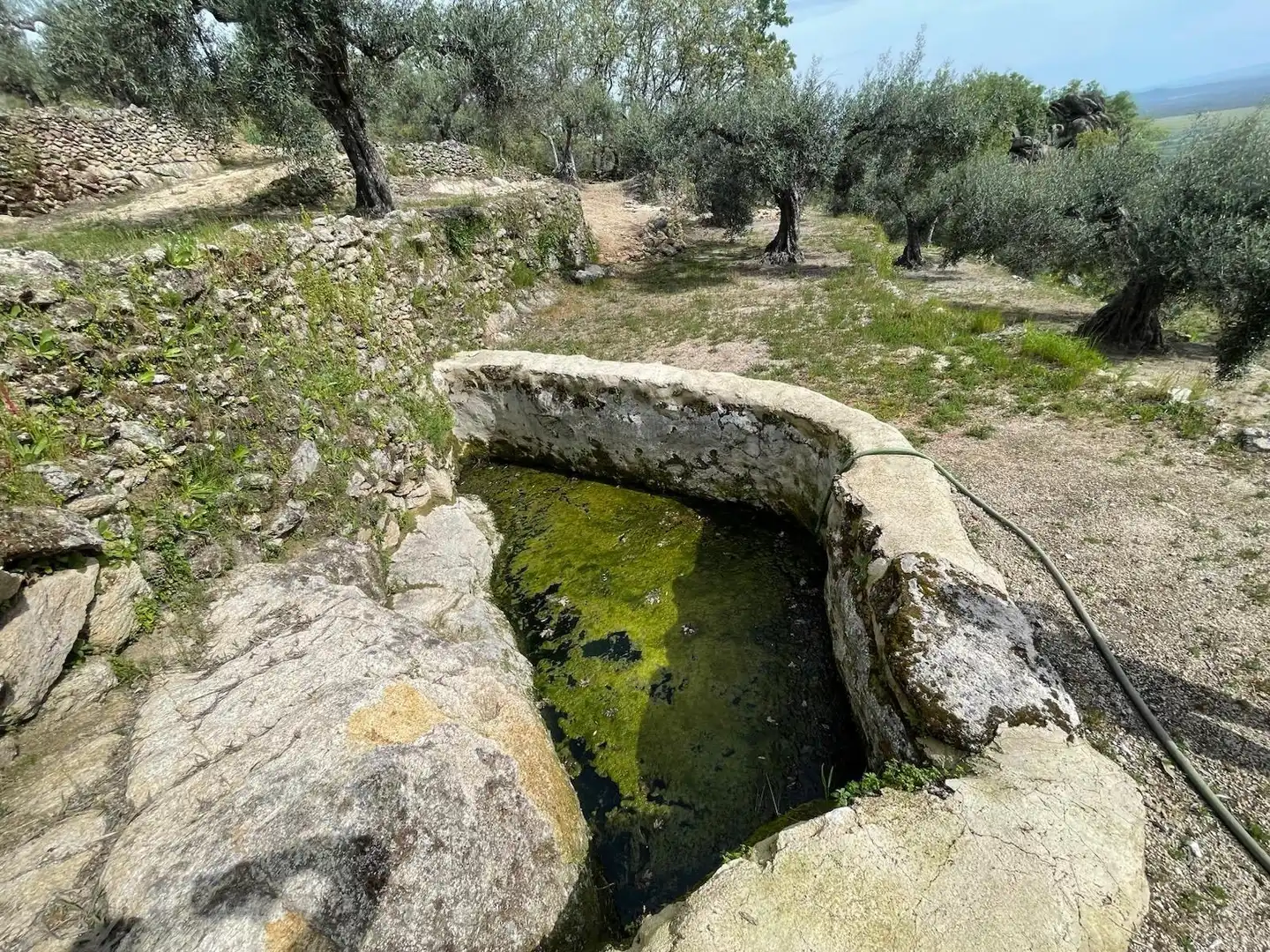 Terreni e lotti in vendita a Montánchez, imagen 25