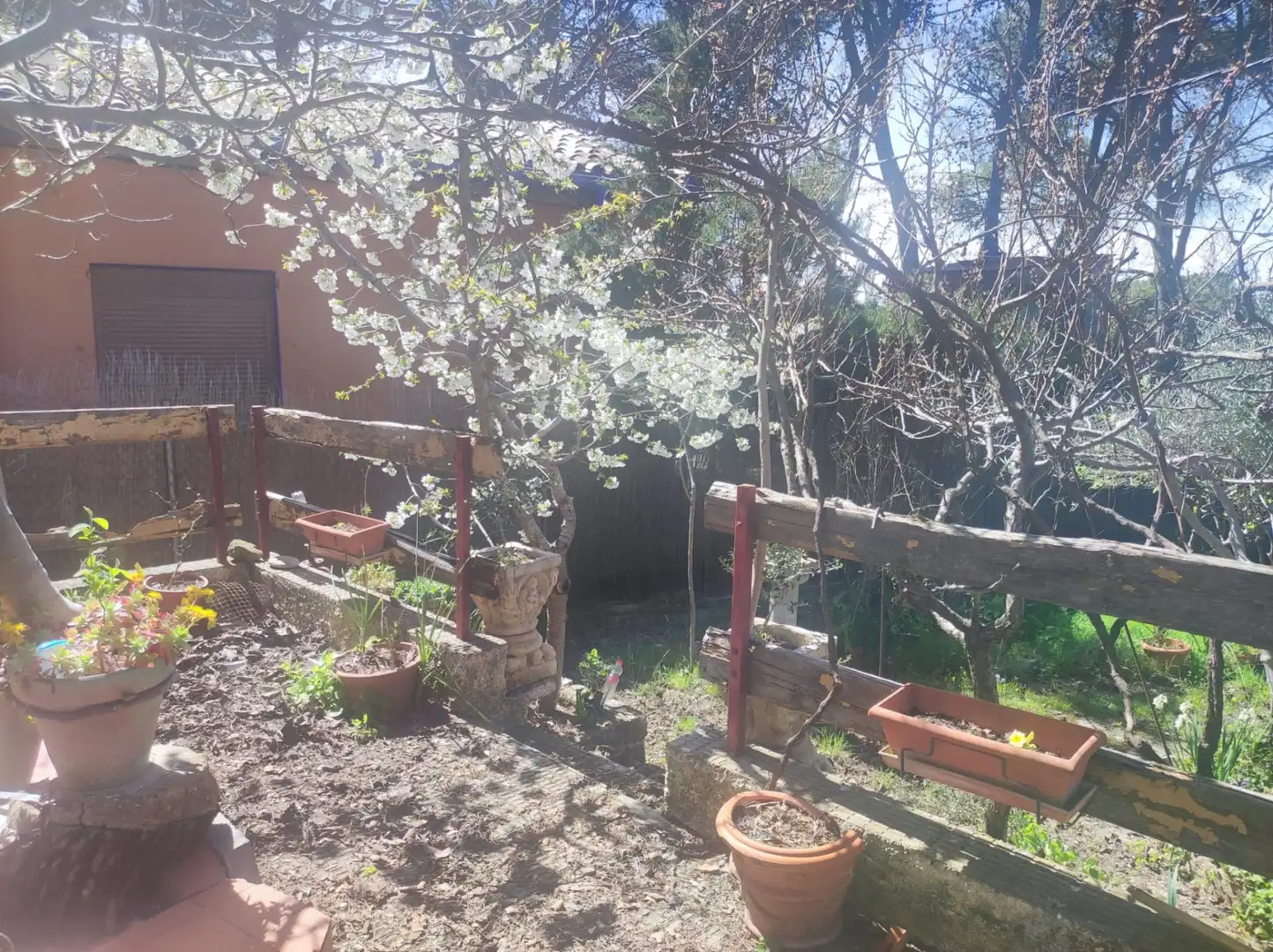Jardín de Finca rústica en venta en Las Peñas de Riglos con Trastero, Amueblado y Balcón