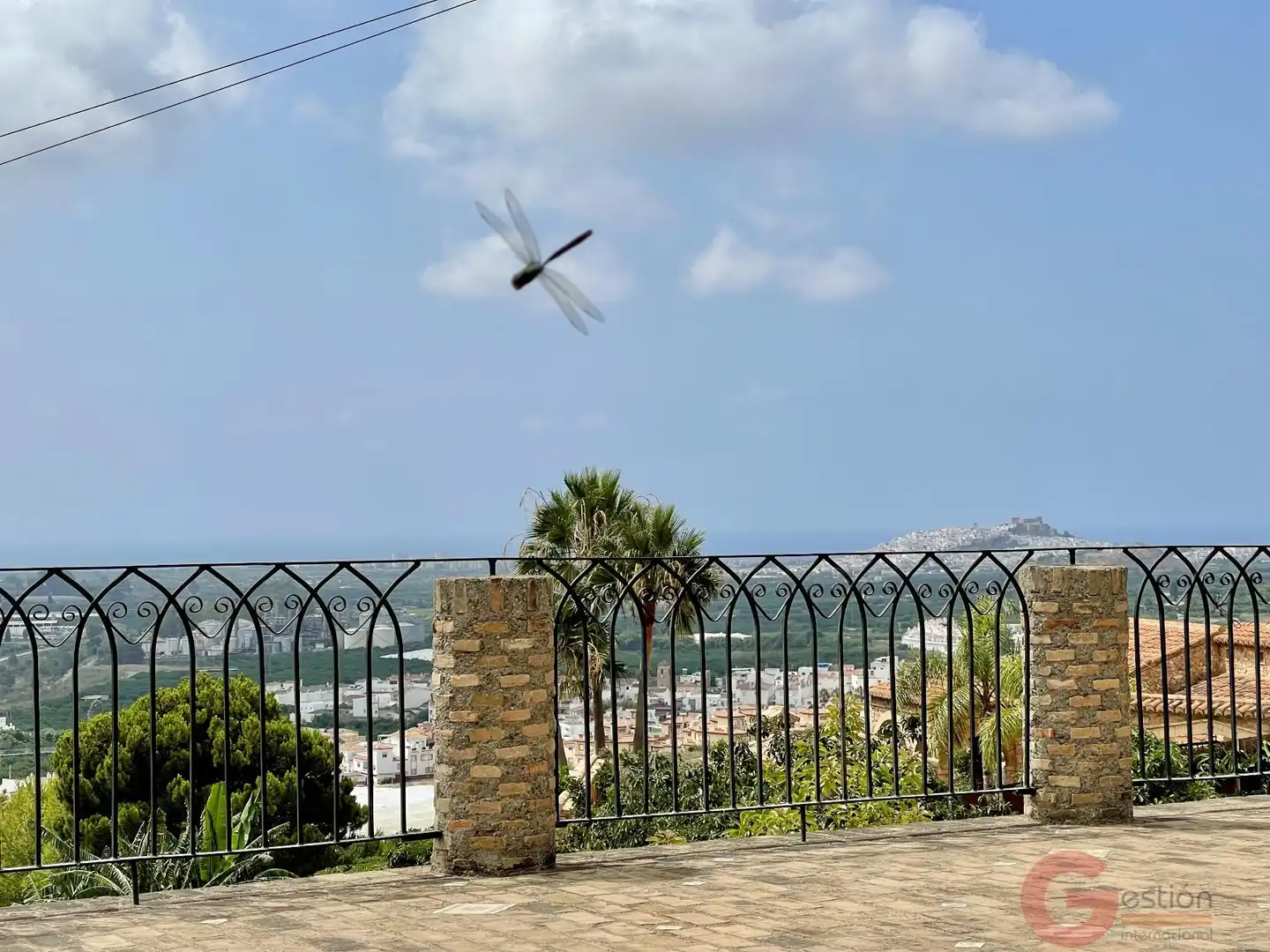 Vista exterior de Finca rústica en venta en Salobreña con Terraza y Piscina