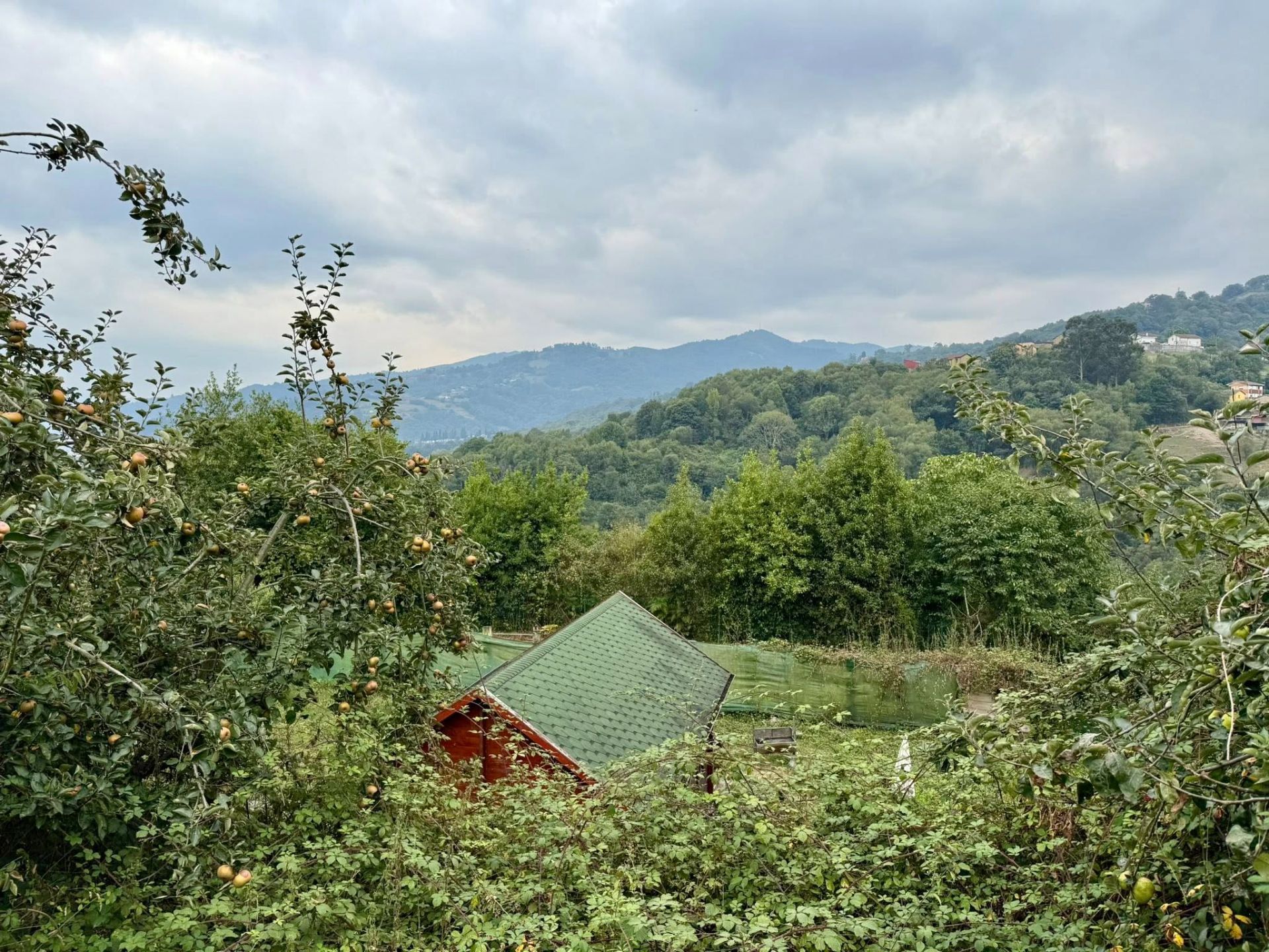 Casa o xalet en venda en Langreo amb Jardí privat i Terrassa
