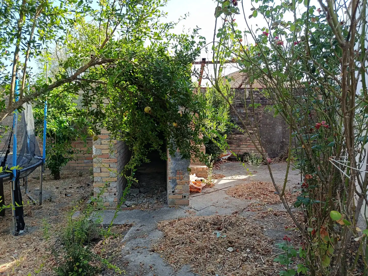 Casa rústica amb jardí en venda a Carretera eL BOSQUE, imagen 19