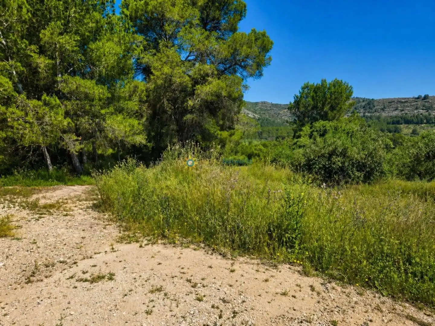 Terreno en venta en Bellús