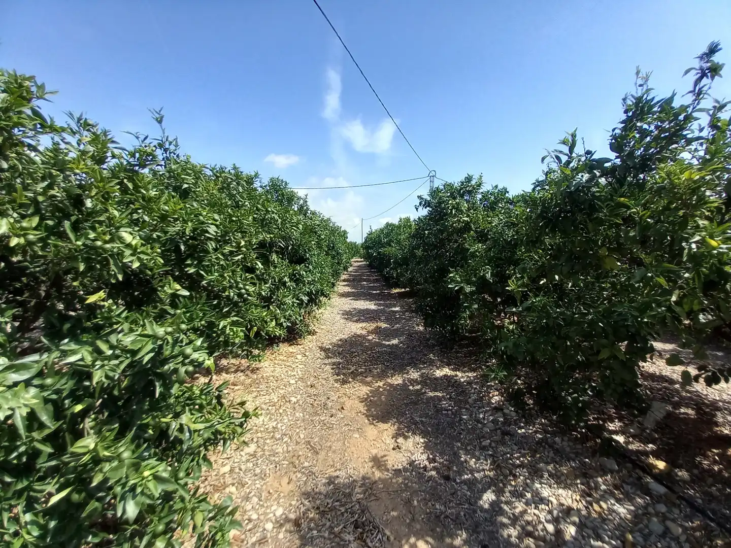 Terreno rustico in vendita a Costa Norte, imagen 39