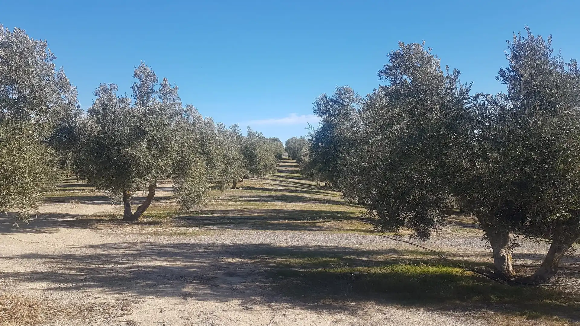 Terrenys i solars en venda a Calle Cañada de los Morteros 16D, imagen 6