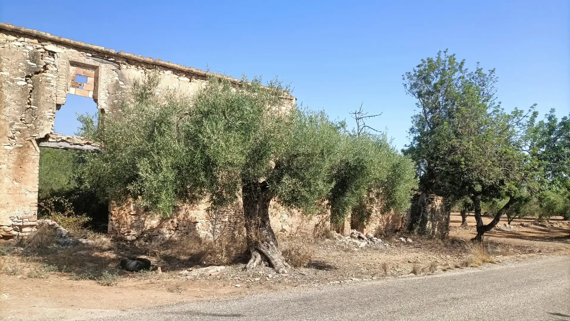 Terrain rustique à vendre à Camí de la Ferrereta 17, imagen 4