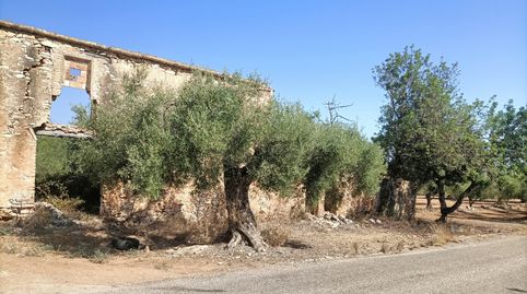 Foto 2 de Terreny en venda a Camí de la Ferrereta, 17, Valletes - Xiribecs, Amposta