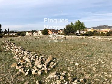 Rural land for sale in Gregal del