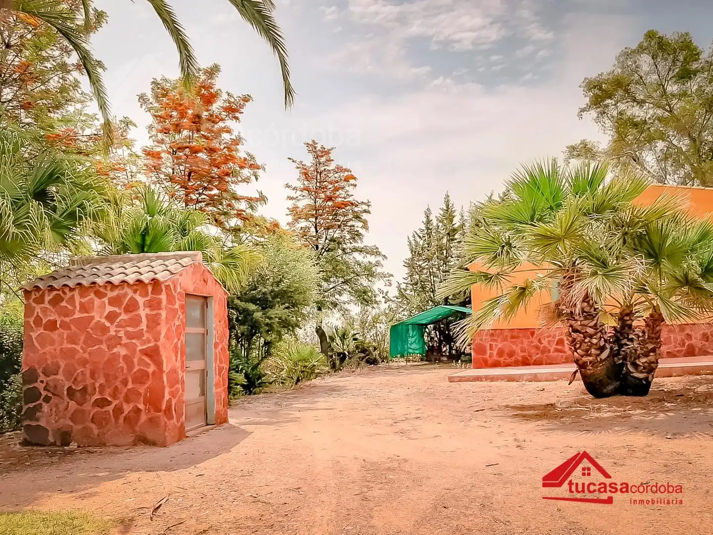 Vista exterior de Finca rústica en venta en Montoro con Jardín privado y Parquet