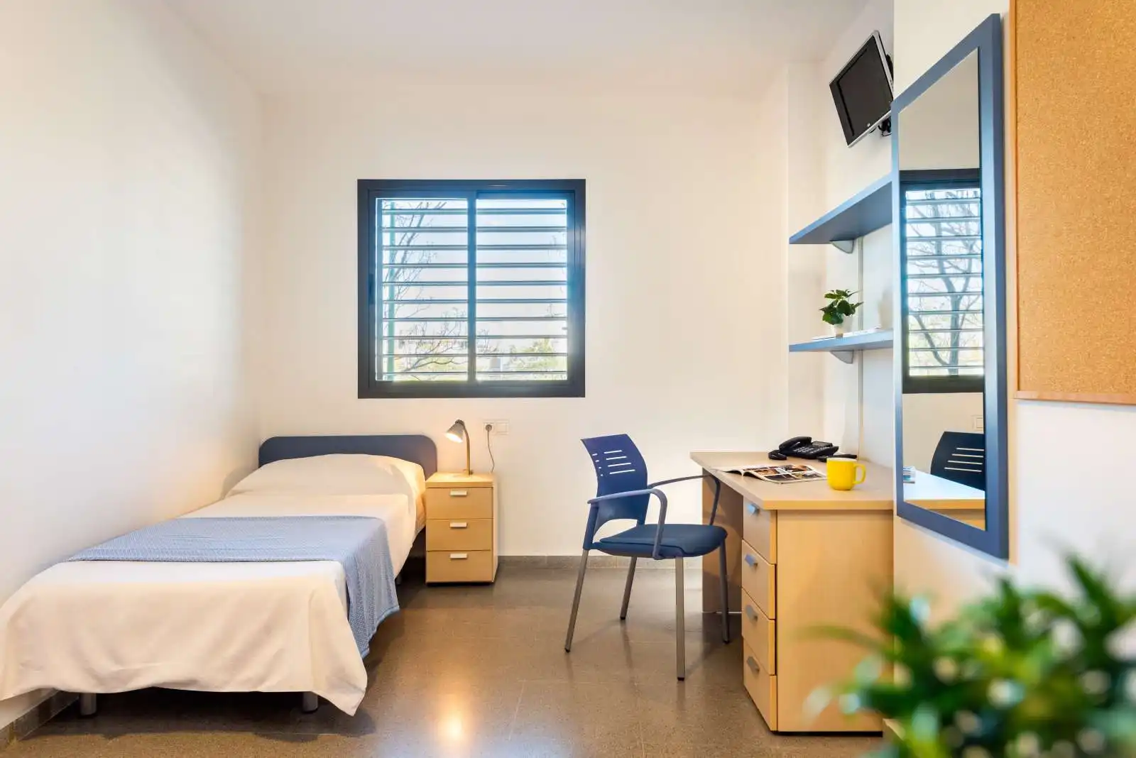 Room in Pedro Salvador - Las Palmeritas