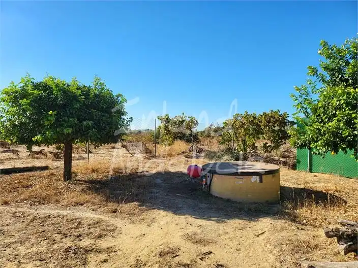 Maison avec piscine à vendre à Marchena, imagen 16