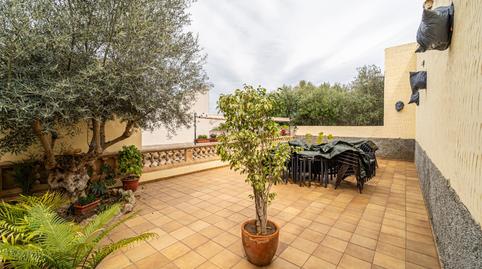 Photo 4 of Premises for sale in Maria de la Salut, Illes Balears