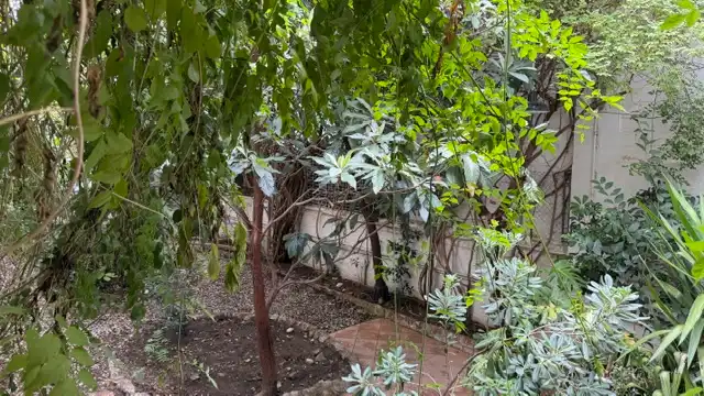 Adossat amb jardí en venda a Carrer Sant Pau, imagen 3