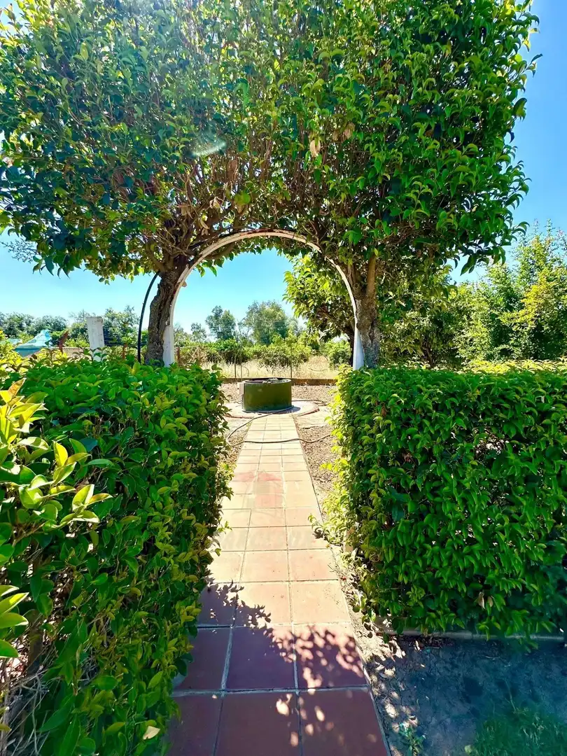 Garden of Country homes for sale in Córdoba  with Storage room and Swimming Pool