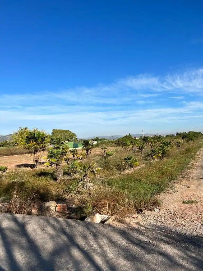 Terreno rústico en venta en Camino ABRES, imagen 4