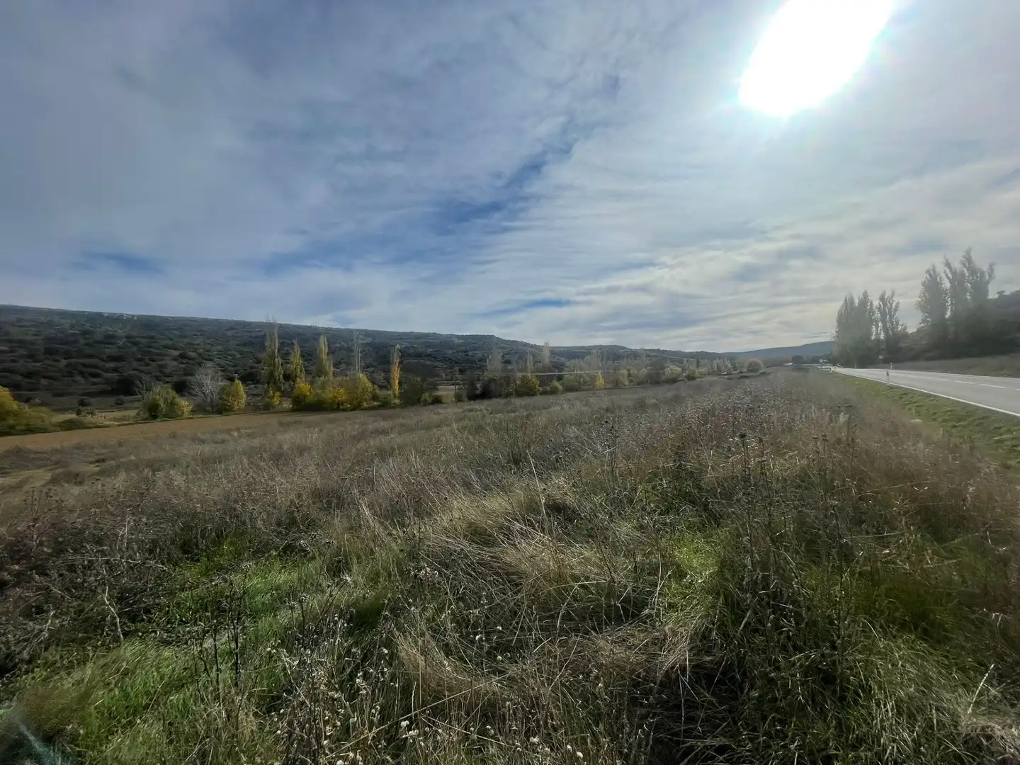 Rural land for sale in Orusco de Tajuña, imagen 8