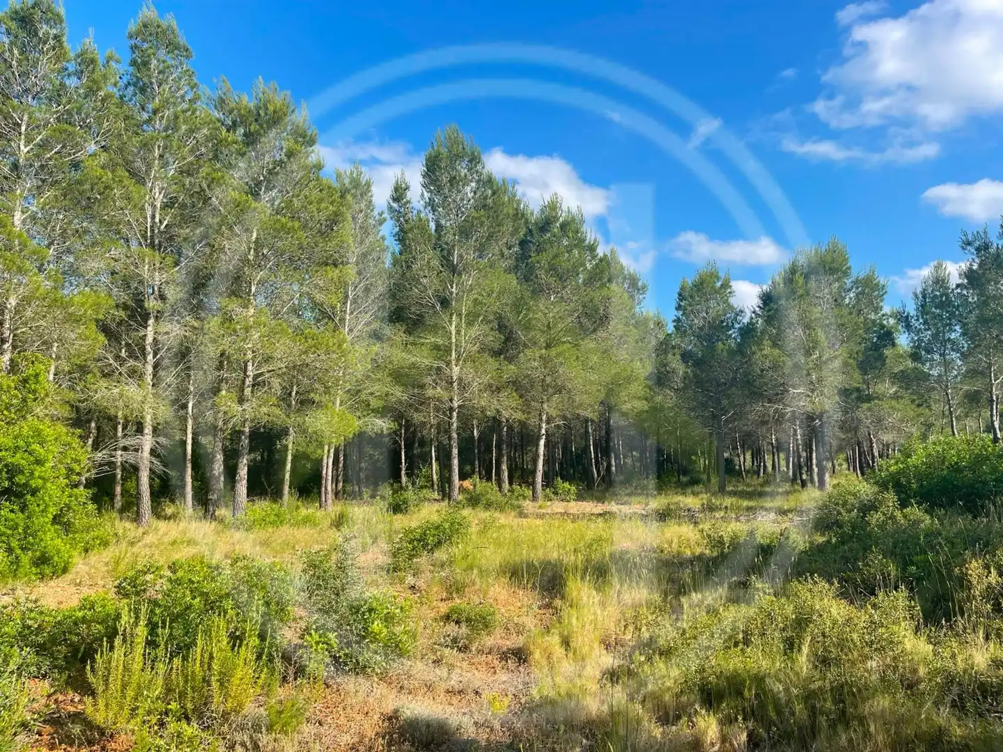 House with garden for sale in d'El Perelló, imagen 50