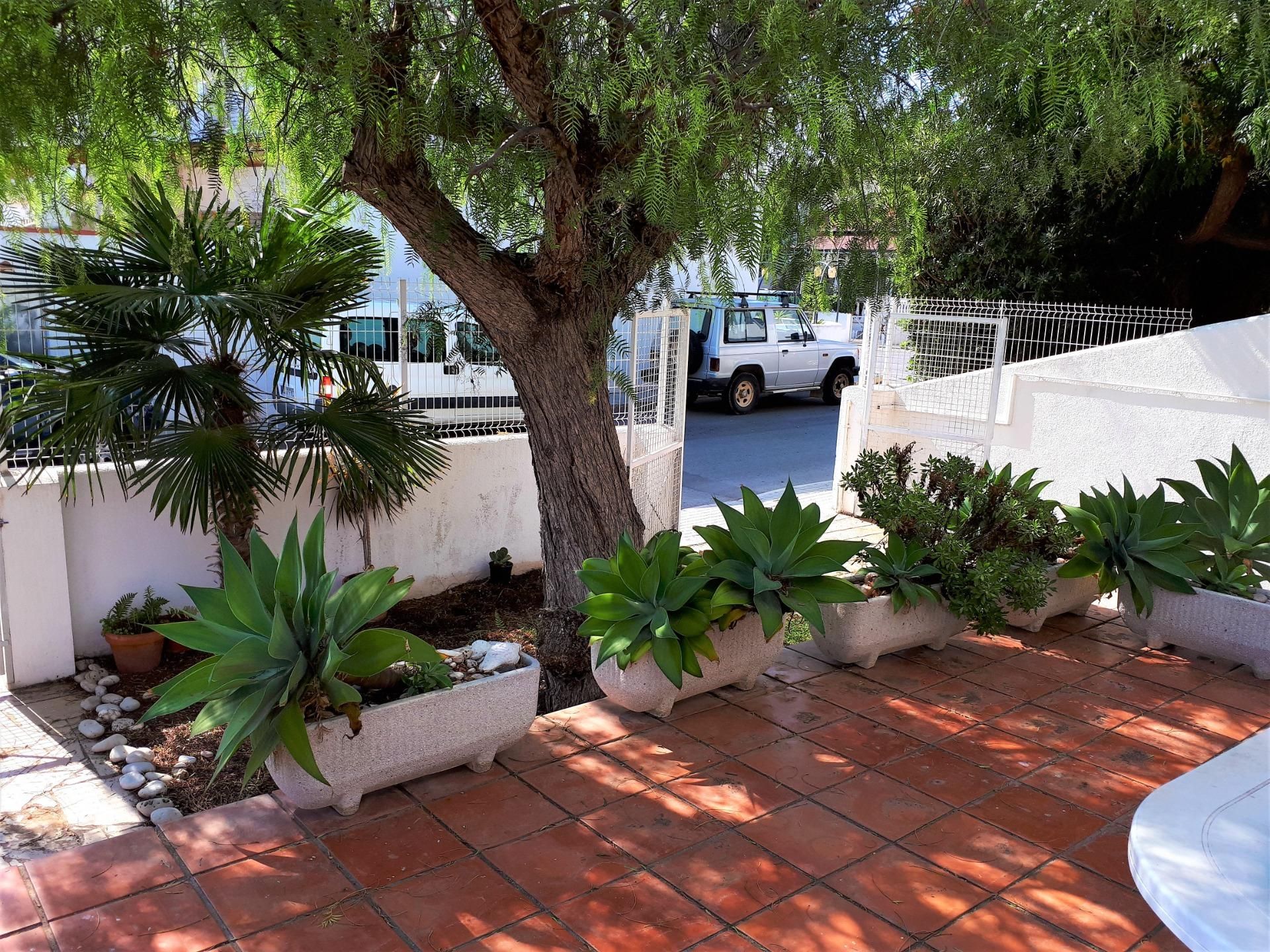 Vista exterior de Casa o xalet en venda en Alcanar amb Jardí privat, Terrassa i Moblat