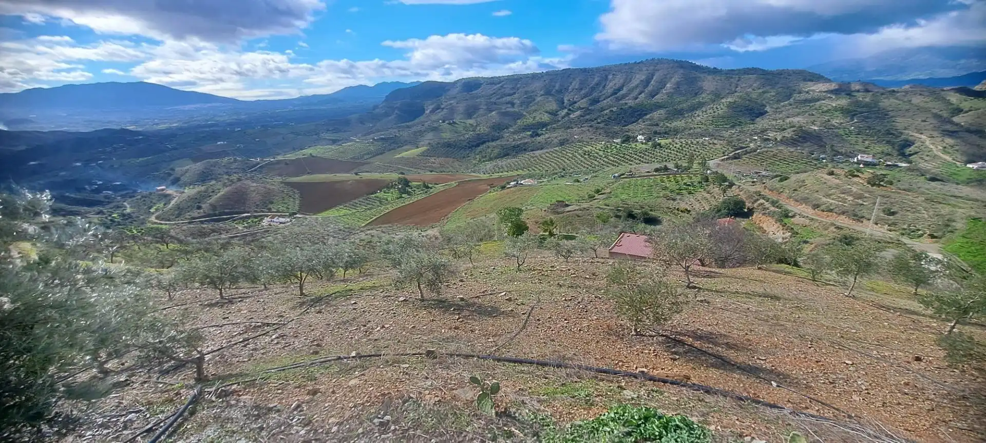 Residencial en venta en Cártama