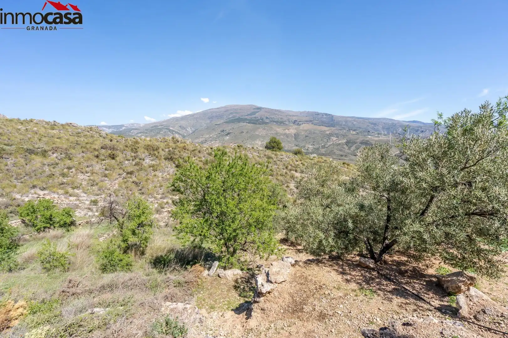 Land for sale in Lúcar