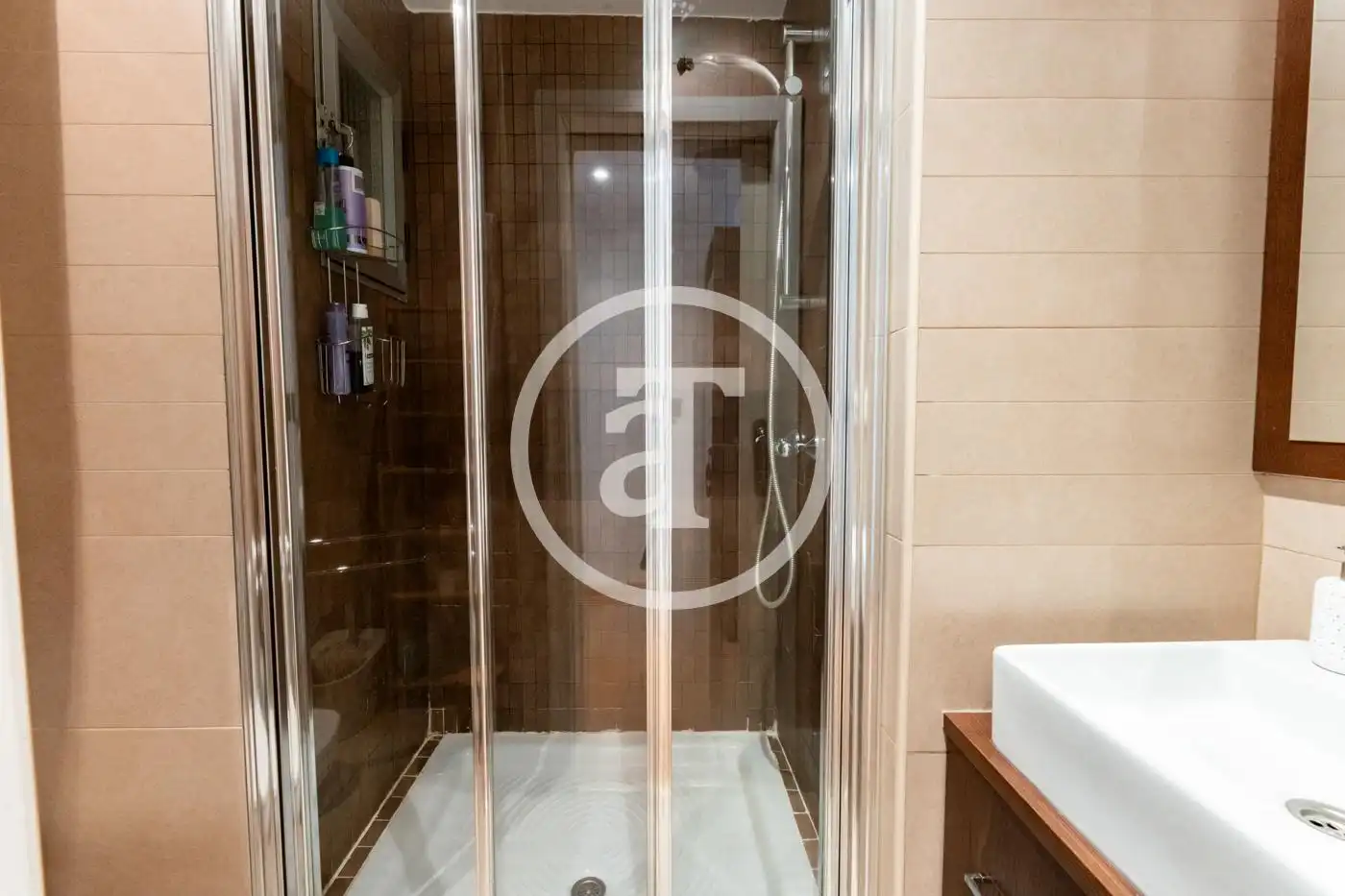 Bathroom of Flat for rent in Madrid  with Heating, Furnished and Oven