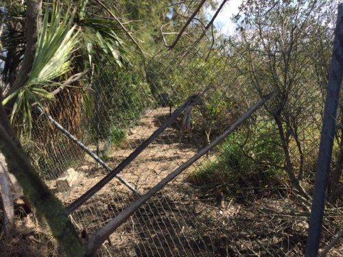 Terreno en Venta en Avenida de los Principes de España, 67 en Virgen del Mar