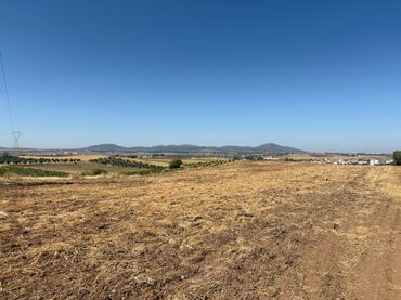 Terreno rustico in vendita a Sur