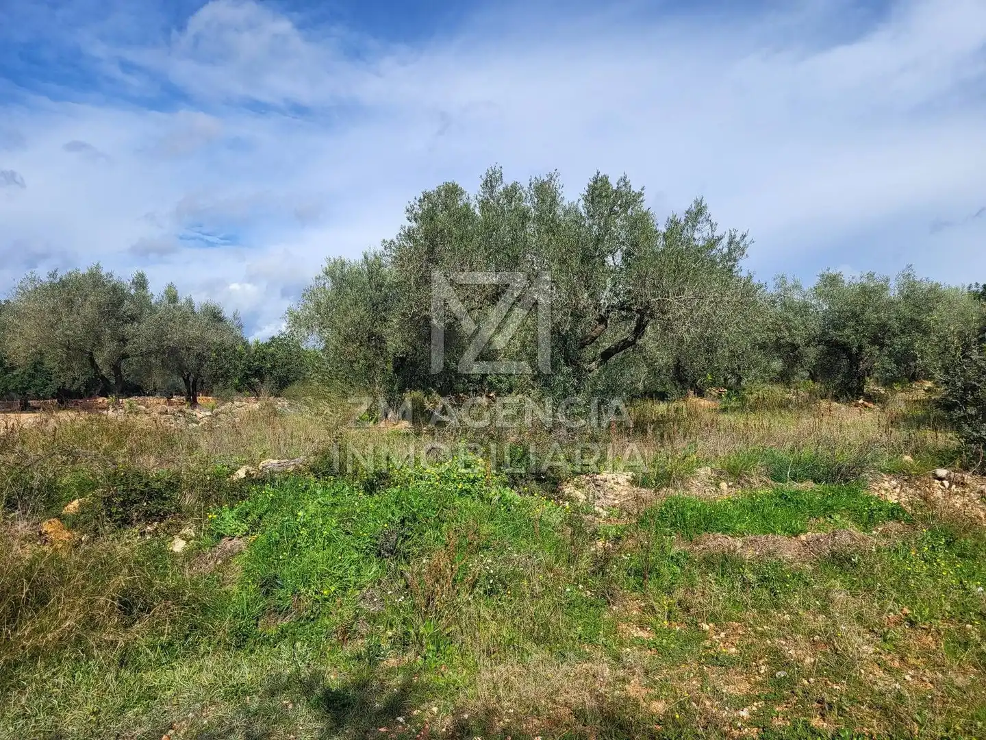 Rural land for sale in Vilagrós