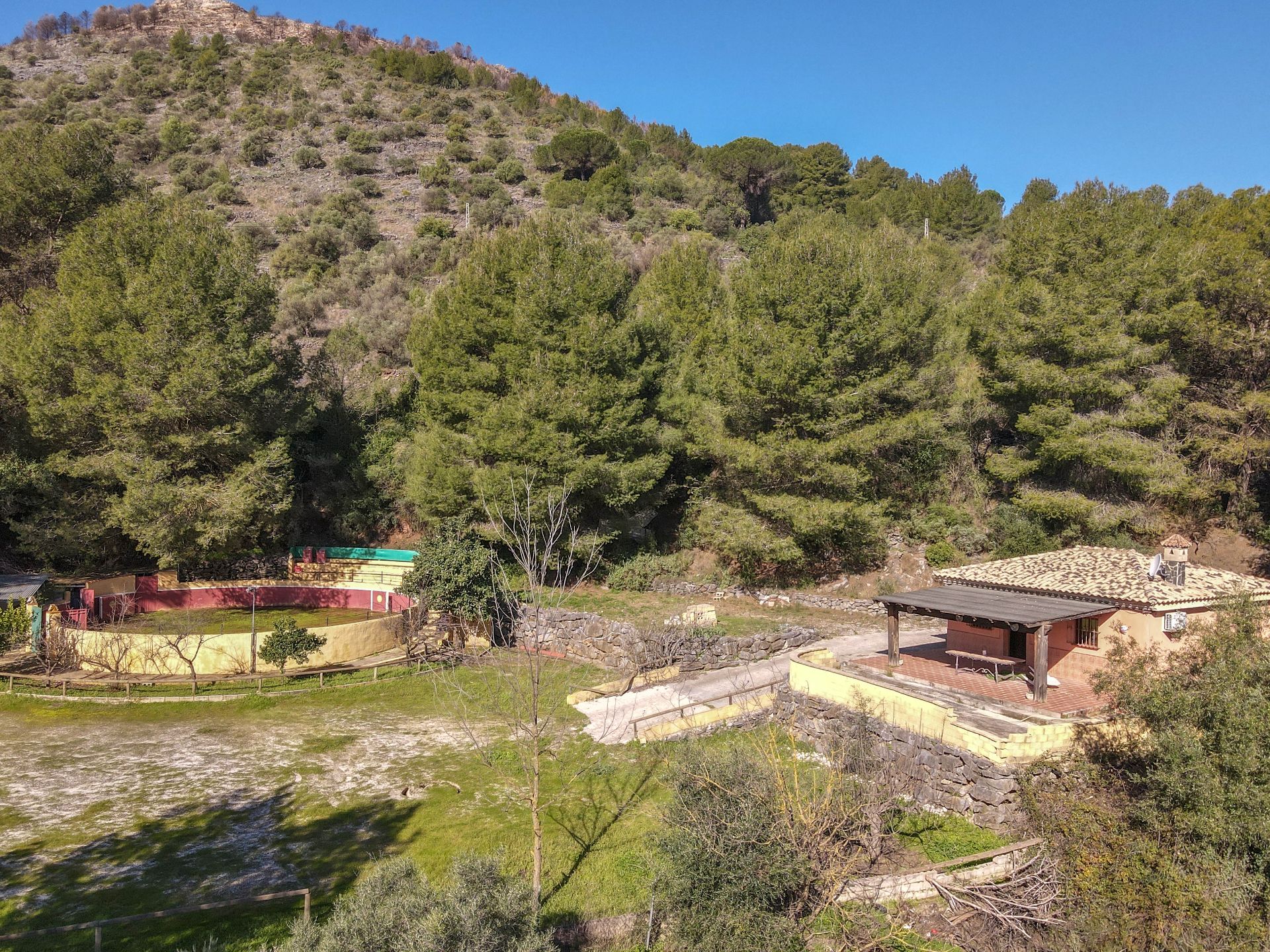 Garden of Country homes for sale in Monda  with Private garden