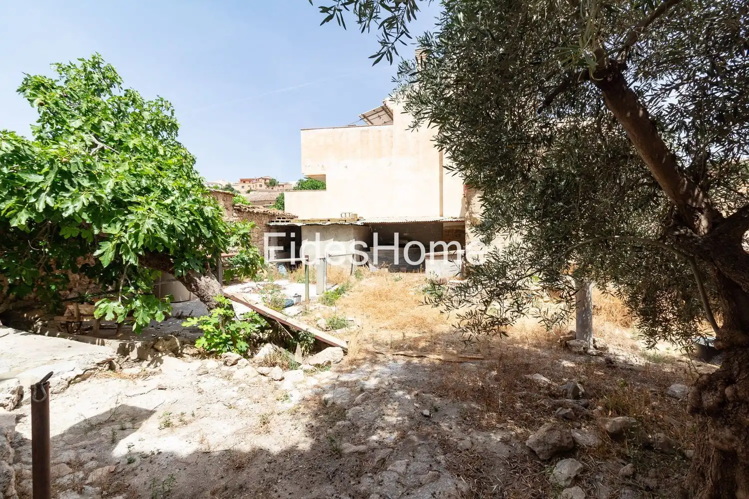 Villa con giardino in vendita a Calle Santisima Trinidad 5, imagen 24