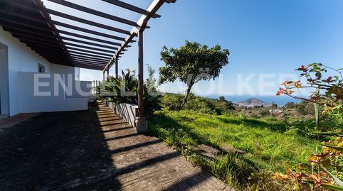 Foto 4 de Finca rústica en venta en Finca Hoya de la Cruz, Santa María de Guía de Gran Canaria, Las Palmas