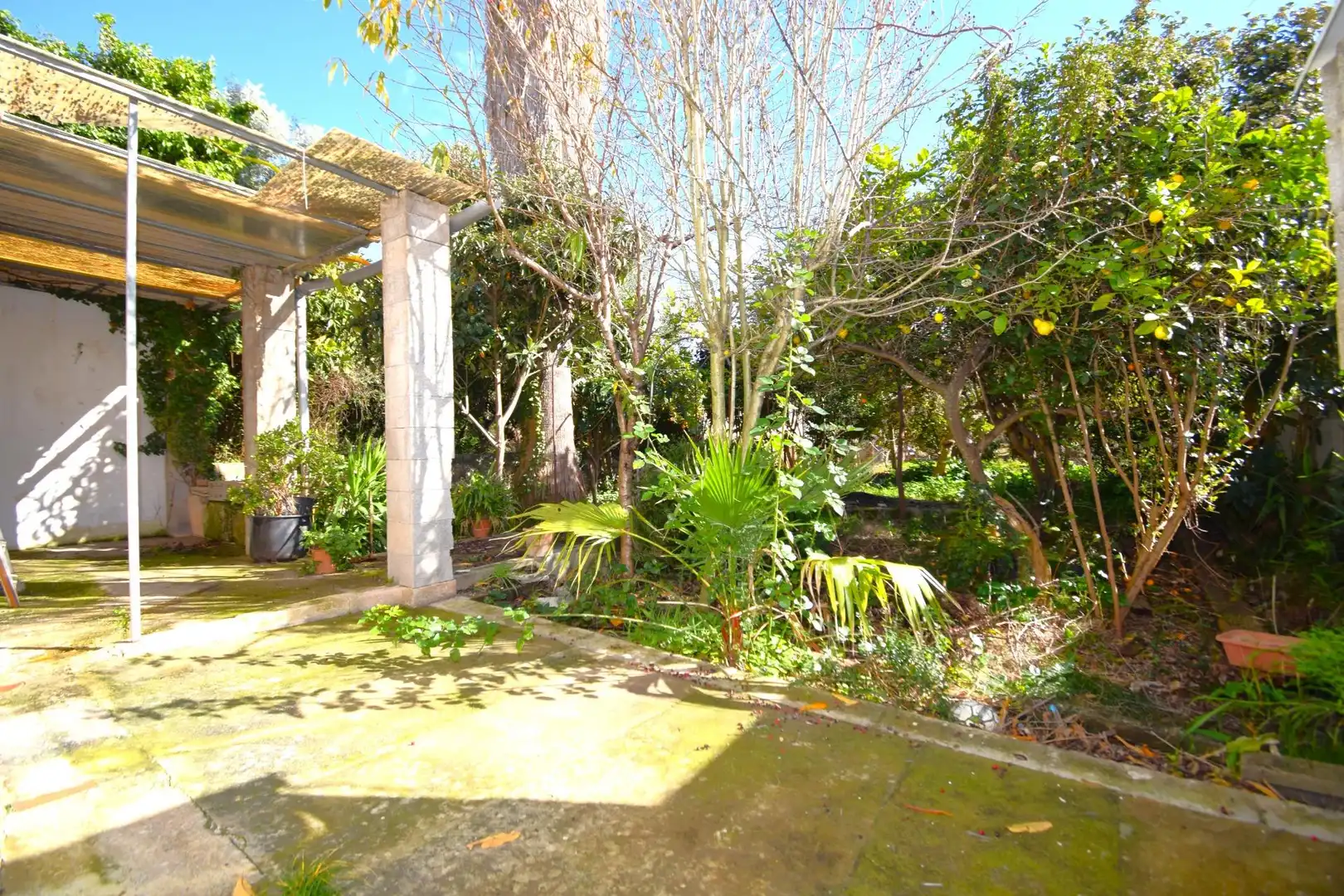 Casa con jardín en venta en Campanet, imagen 2