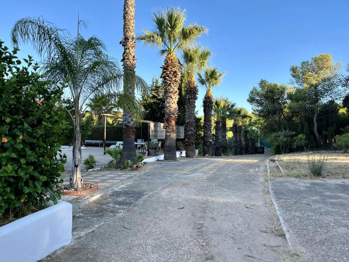 Vista exterior de Finca rústica en venta en Ayamonte con Jardín privado, Trastero y Piscina